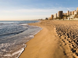 Los_altos_f3_11